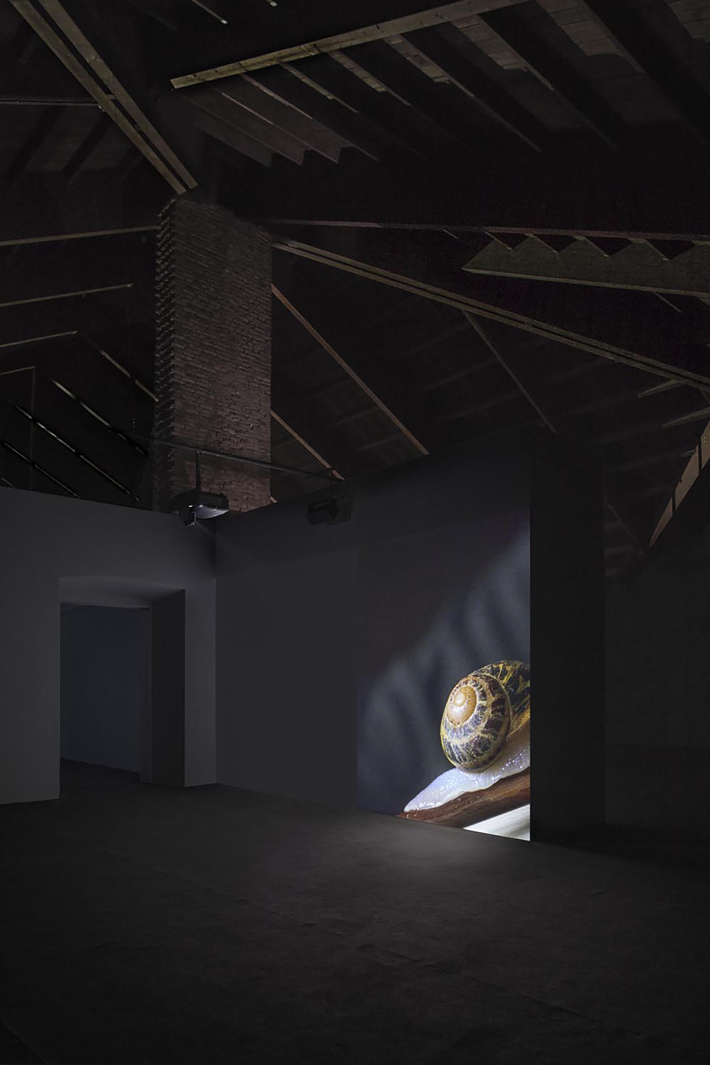 Anri Sala, If and only if, 2018